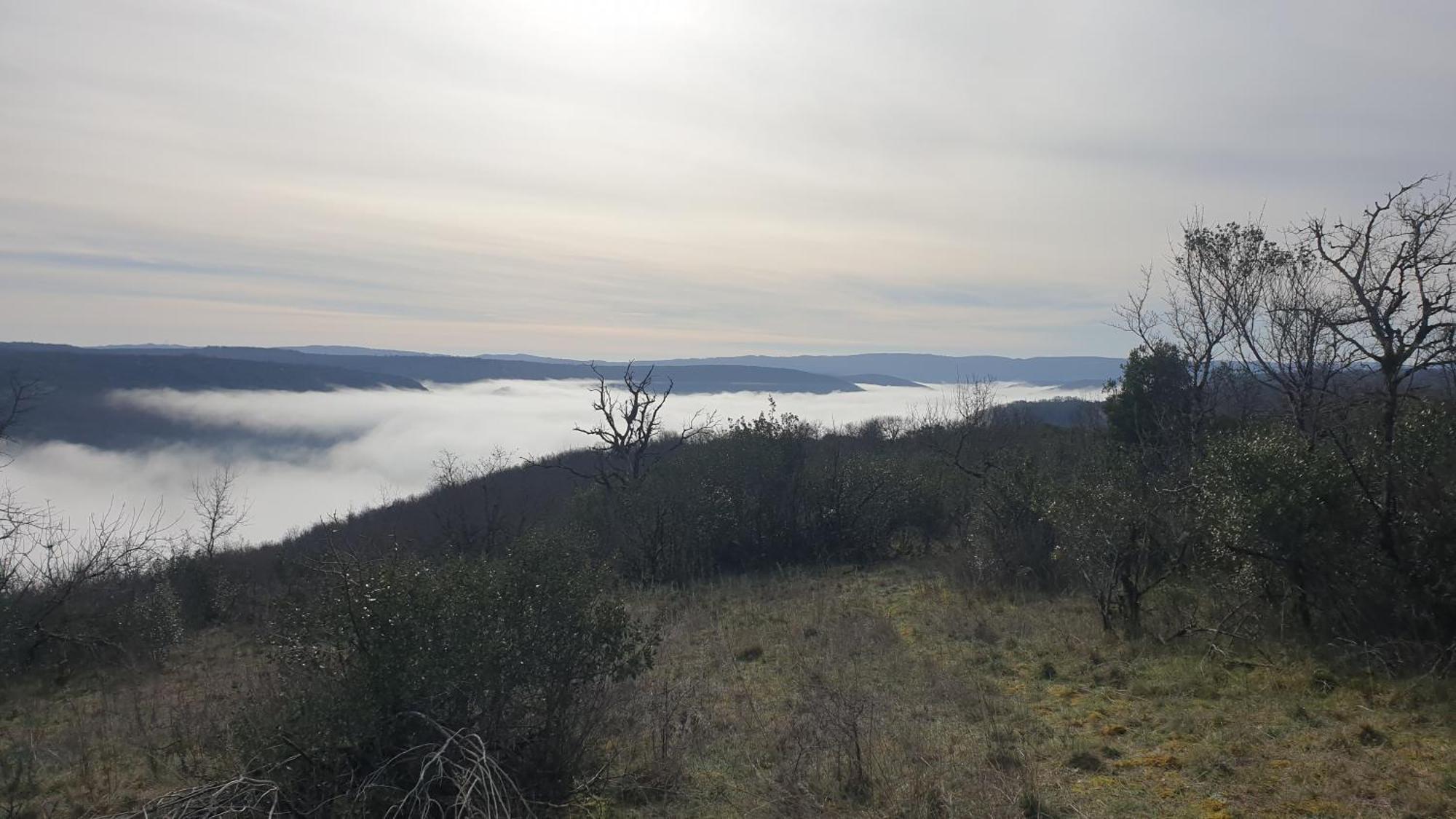 Seuls En Pleine Nature - Gite La Cote Blanche Puygaillard-de-Quercy Экстерьер фото