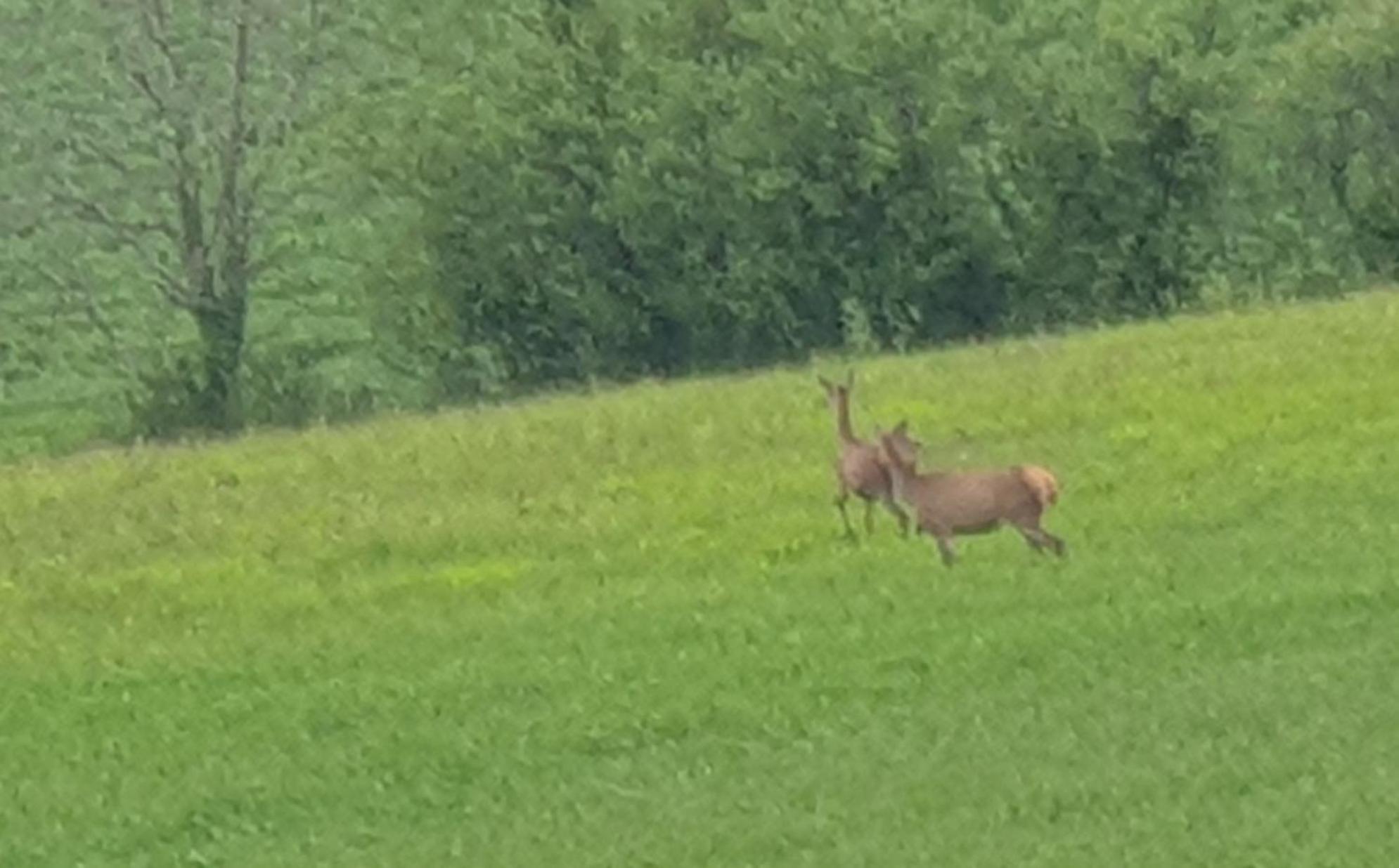 Seuls En Pleine Nature - Gite La Cote Blanche Puygaillard-de-Quercy Экстерьер фото